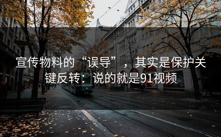 宣传物料的“误导”，其实是保护关键反转：说的就是91视频  第1张
