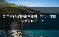 别再问17c日韩能不能用，我以为我懂了，直到把细节捋完