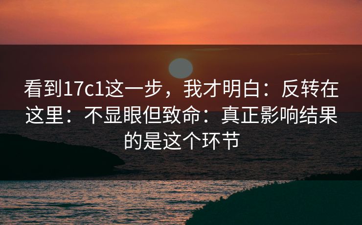 看到17c1这一步，我才明白：反转在这里：不显眼但致命：真正影响结果的是这个环节  第1张