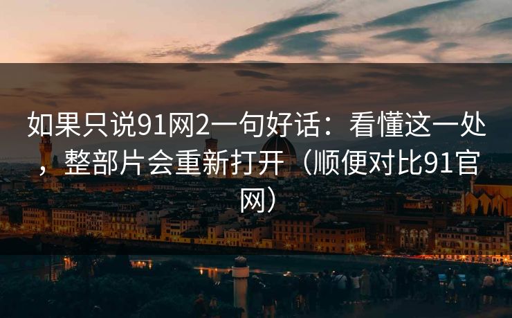如果只说91网2一句好话：看懂这一处，整部片会重新打开（顺便对比91官网）